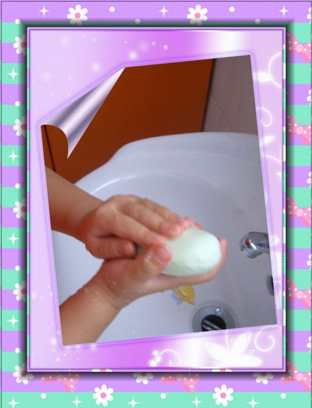 预防禽流感 洗手要仔细