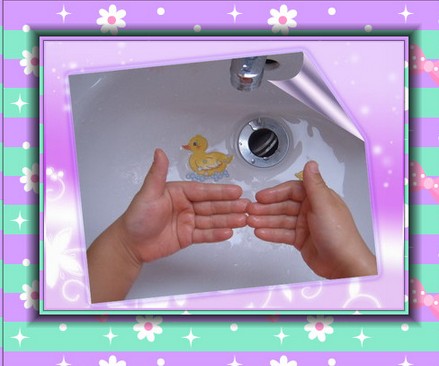 预防禽流感 洗手要仔细