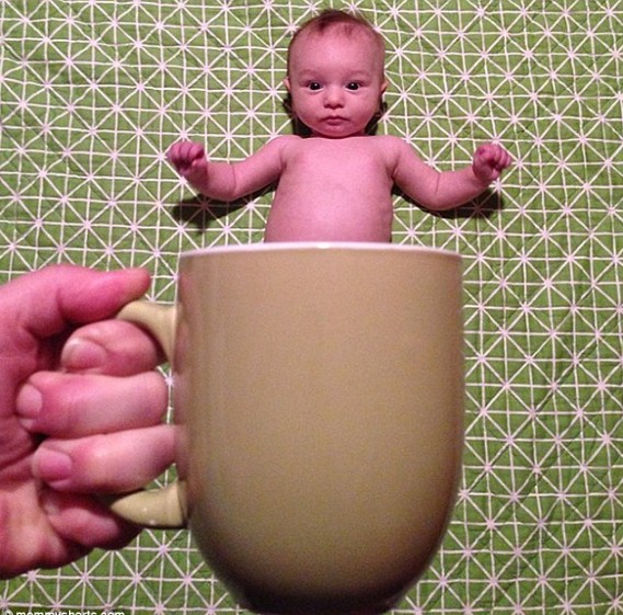 美国妈妈晒“杯装”宝宝 欢乐无限