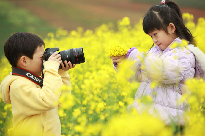 油菜花