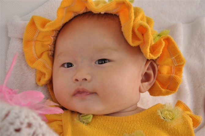 丫丫是个5月18日生的金牛座小美女。现在已经有8个月大了呢。她在亲亲小家的名字是”丫丫寳呗“，欢迎来做客哦~
