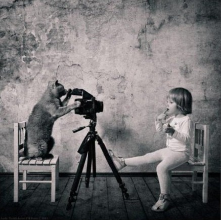 这组照片中的萌女孩是摄影师Andy Prokh的四岁女儿，她和这只两岁英国短毛猫如此默契，一起探讨艺术，研究数学题，享受美食......让人羡慕不已。