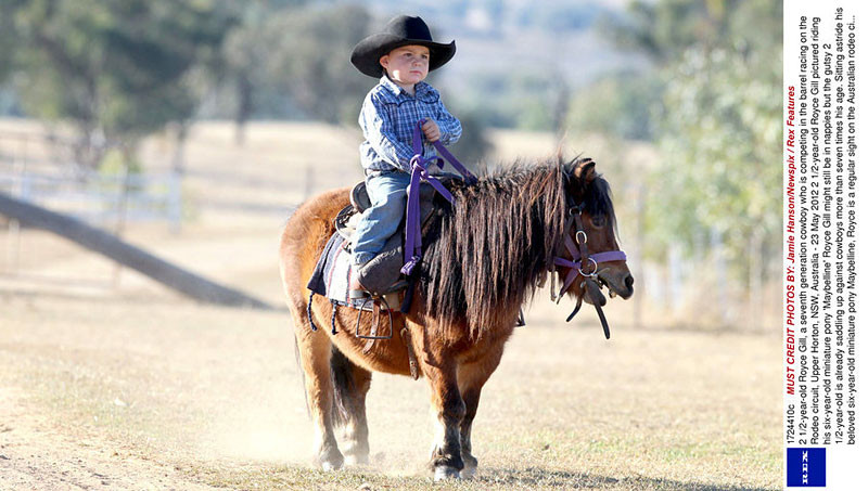 世界最萌的小牛仔 年仅2岁半就爱上骑马 世界最萌的小牛仔罗伊司-吉尔，年仅2岁半，来自澳大利亚新南威尔士州，生长在牛仔世家，从会走路开始就爱上骑马，从小就在牛群中和马背上打转，他的父亲瑞安-吉尔还特别送他一匹迷你马让他“专心练习”。