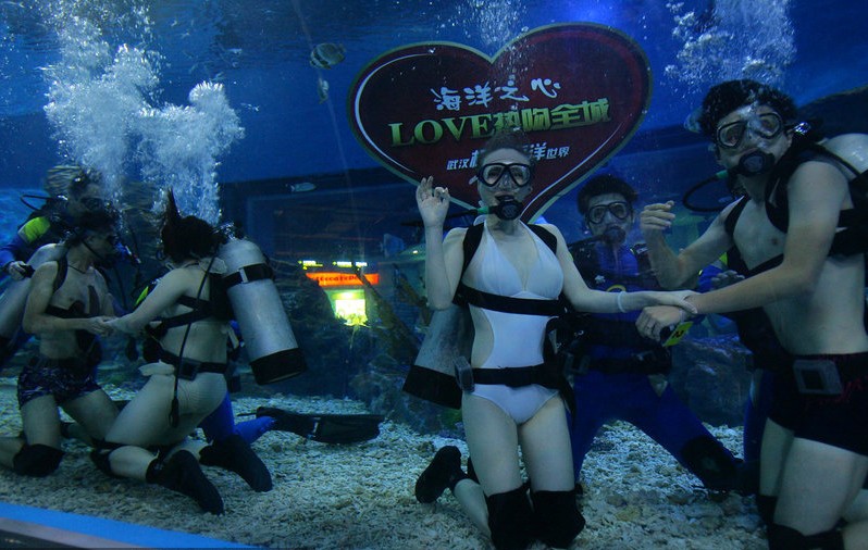 这个七夕你们过的怎么样，你们安排的节目有创意吗，会令你难忘吗，在武汉就有七对情侣用海底热吻的方式来庆祝他们的节日，独特而难忘。