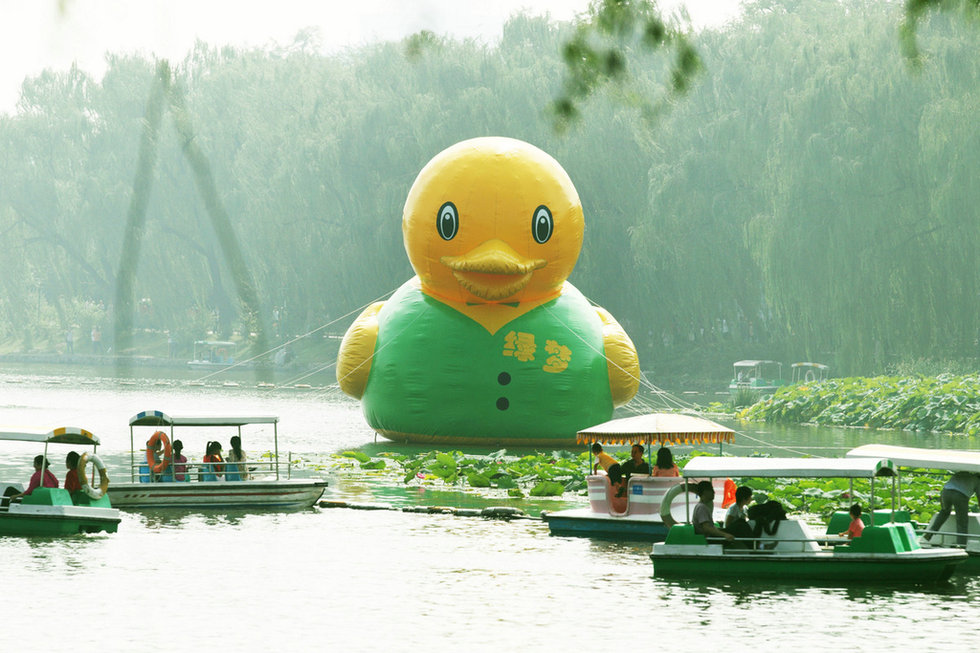 9月7日，北京玉渊潭公园的湖面上出现了一只绿梦鸭，高10米、身穿绿马甲，身后还带着7个鸭蛋，萌死观众。而正版的大黄鸭正漂浮在北京园博园的湖面上。