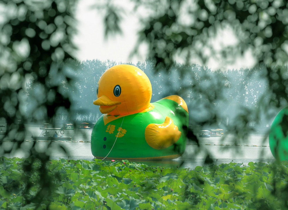 9月7日，北京玉渊潭公园的湖面上出现了一只绿梦鸭，高10米、身穿绿马甲，身后还带着7个鸭蛋，萌死观众。而正版的大黄鸭正漂浮在北京园博园的湖面上。
