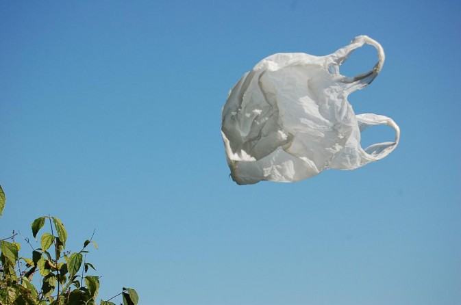 作品是《in the wind》,一个飞在空中的胶袋,看来带来相当丰富的联想