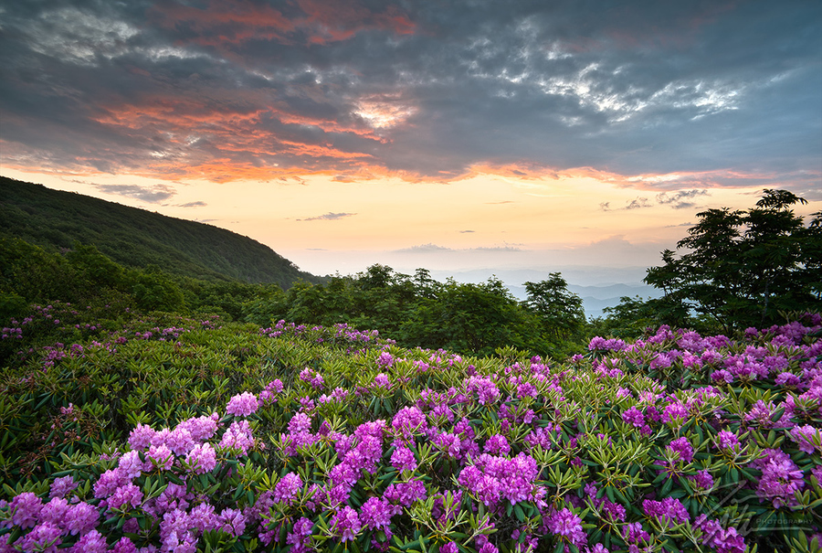 美国摄影师Dave Allen拍摄了北卡罗来纳州西部(Western North Carolina)和蓝岭山脉(Blue Ridge Mountains)的自然风光。