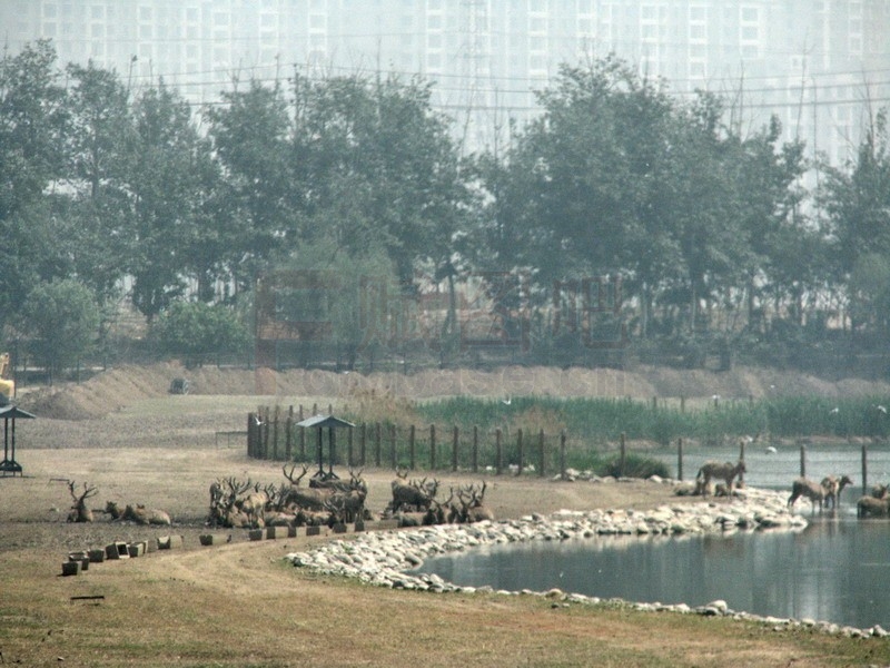 北京湿地公园