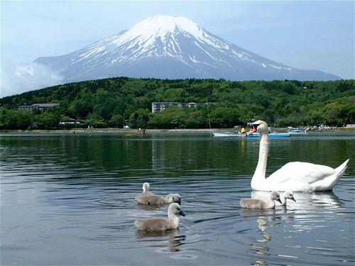 日本富士山观光