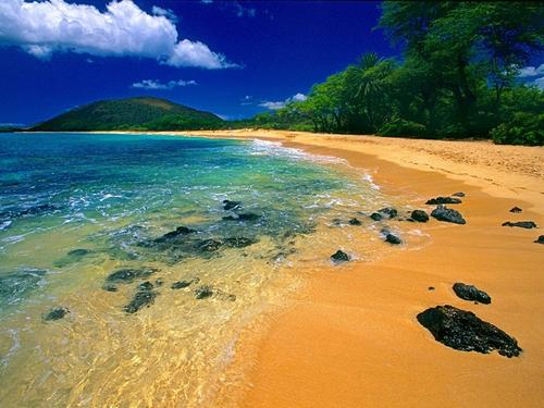 美丽的夏威夷