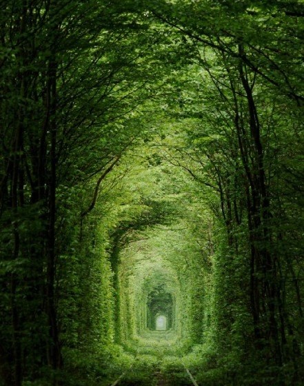 乌克兰小镇”爱的隧道“吸引情侣观光
