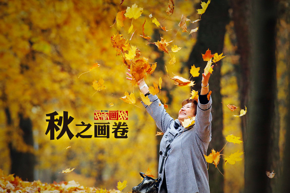 秋天了，落叶纷飞，北京香山的枫叶成为大家周末游玩的最佳选择，英国韦斯顿比特国家植物园内的红叶也不一般。我们一起来欣赏这些不容错过的秋景吧！
