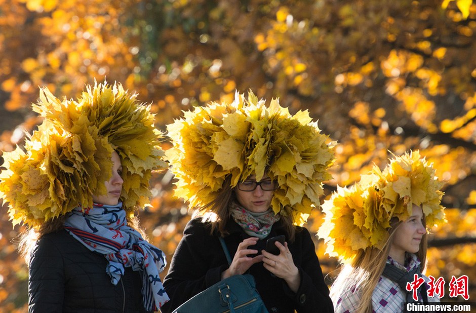 秋天了，落叶纷飞，北京香山的枫叶成为大家周末游玩的最佳选择，英国韦斯顿比特国家植物园内的红叶也不一般。我们一起来欣赏这些不容错过的秋景吧！
