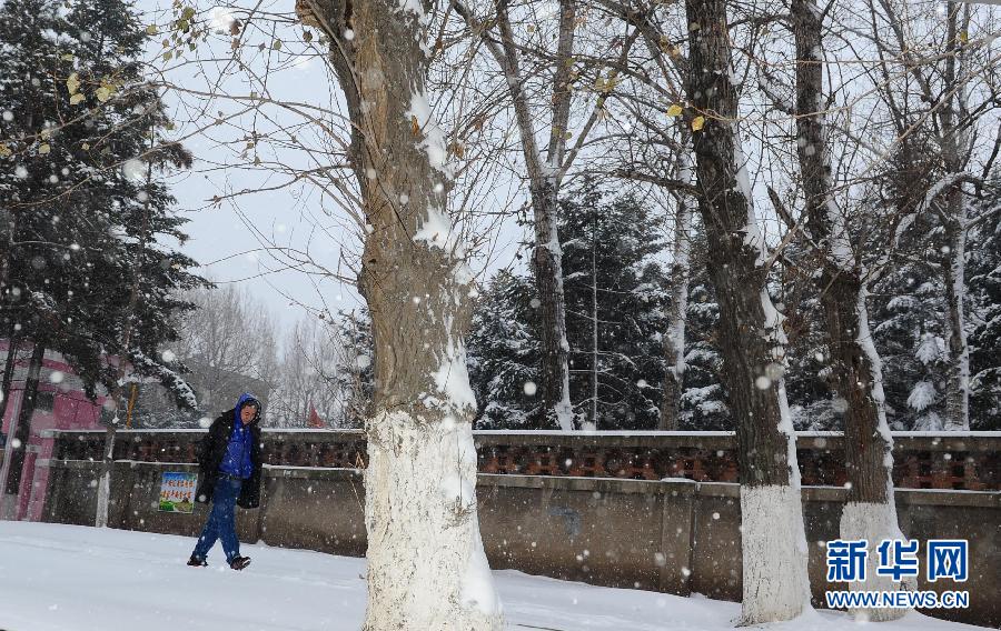 11月18日，长春市民冒雪出行。吉林省气象台18日4时许继续发布暴雪黄色预警，预计未来24小时内，吉林省内多地仍有大到暴雪天气。