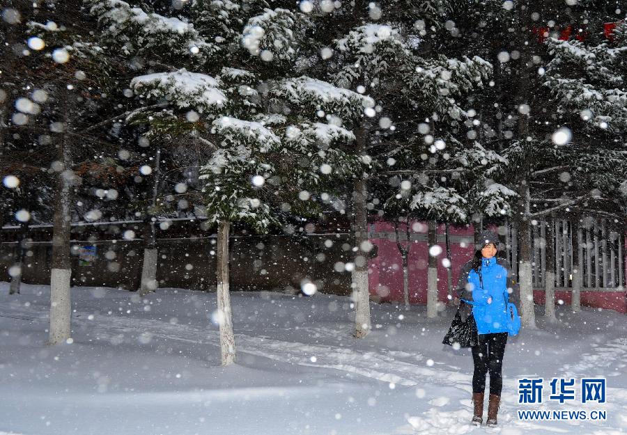 11月18日，长春市民在雪中候车。吉林省气象台18日4时许继续发布暴雪黄色预警，预计未来24小时内，吉林省内多地仍有大到暴雪天气。