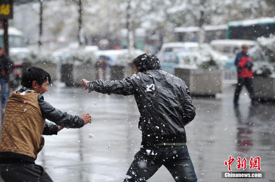 2013年12月16日，市民在街头打雪仗。受到强冷空气影响，昆明15日、16日连续降雪，城区一片银装素裹，分外美丽。