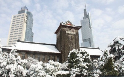 江苏多地下起了蛇年首场大雪 网友感叹雪大得像“馒头”