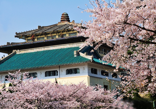 武汉大学 每年三月底四月初，武大樱花怒放时节千树堆雪影，煞是好看。最佳的赏樱地点，还是莫过于“樱园”，这片直接以“樱”命名的园区以小日樱花为主，收集了早樱、晚樱和垂枝樱等共6种10余个佳品的樱花，花色丰富，绚丽多彩，枝、干多异且花期不同。盛开时节，樱园酷似花的海洋，成千上万游客慕名而至，流连观赏，如醉如痴，大有“三月赏樱，唯有武大”的意趣。