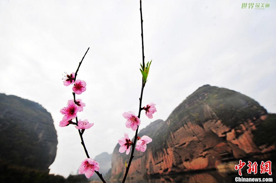 龙虎山久雨初霁 云雾隐现犹如仙境 2月25日，江西鹰潭久雨初霁。道教祖庭、世界自然遗产地、国家五A级景区龙虎山中云雾缭绕，群峰在如丝绸般的云雾中或隐或现，如梦如幻，犹如仙境。据景区工作人员介绍，连日来，气温上升，进入春季的龙虎山极易出现雾天，一般都在早上7点左右散去，所以要看龙虎山的云雾，最好留宿景区，并关注当地天气状况。