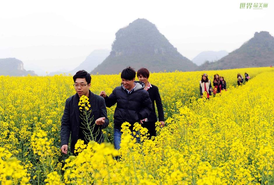 敞开双臂迎接春暖花开 云南省曲靖市罗平桃花映衬下的油菜花梯田(2月20日摄)。每当春天来临，这里广袤沃土上的80万亩油菜花海吸引中外游客前来采风观光，成为助推当地经济发展的亮点。 在早春时节，我国北方大部分地区还一片寒冷，南方已可感受春天暖意，早春作物和各色鲜花装点着南国绚丽风光。