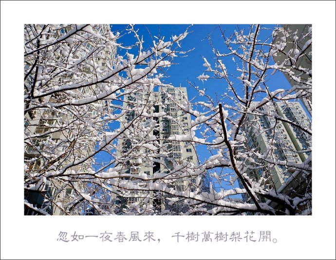 北京三月雪 难得一见 难得一见的三月雪，来得快，融得也快! 困扰京城多日的雾霾天气一扫而光， 出门时前抓紧时间，小区里随拍几张。