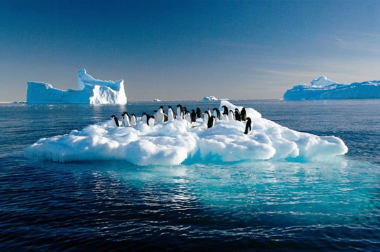 澳大利亚，南极区域，阿德雷企鹅在浮冰上漂流。据美国宇航局航测显示，南极冰盖每年消融570亿吨，这些帝企鹅，正面临着生存区域的快速削减。同时，南极冰盖的消融正使海平面上升，如图瓦卢这样的小岛国甚至面临整体被淹的命运。地球水域面积扩大，导致雨季延长，各地洪水频发。
