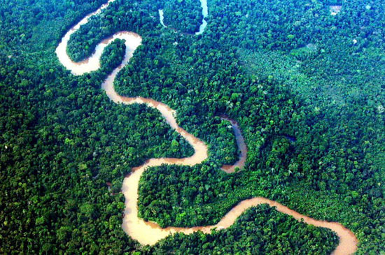 哥伦比亚，莱蒂西亚蜿蜒的河流。未经开发的热带雨林，在南美大陆上肆意的生长着，这里有幸保持着原始的生态与地貌。