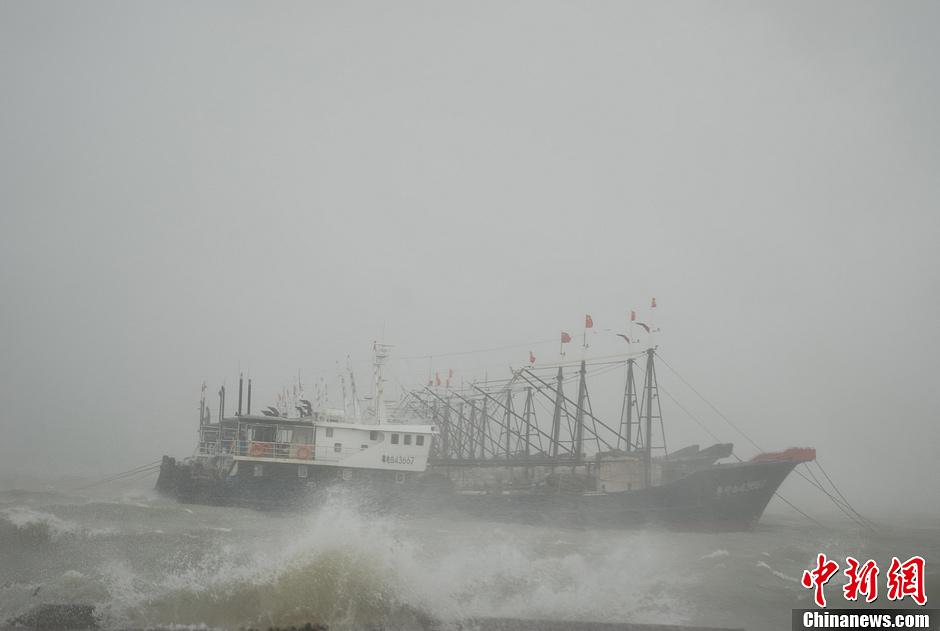 广东省强台风“尤特”逼近风力达14级 2013年8月13日下午，广东省茂名港港口的天空乌云密布，狂风挟着暴雨骤然而至，并闪电雷鸣，靠泊在港口内锚地的船舶不停地随着风浪摇摆。傍晚当地风力已达14级，阵风16级，浪高6米至9米。当日19时，强台风“尤特”中心位于广东电白东南方约390公里的海面，中心附近最大风力14级(42米/秒)，中心最低气压955百帕，八级风圈半径300公里。据气象部门预计，“尤特”将以每小时20到25公里的速度向西北方向移动，并于14日白天以14级左右的风力在阳江到徐闻之间沿海地区登陆。