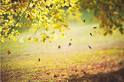 满载幸福的秋天 深秋的美丽，有一种说不出的魅力，好想身临其境!