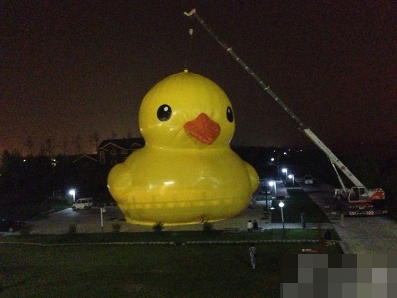 9月3日，大黄鸭夜间亮相北京园博园。网友拍下大黄鸭充气全过程