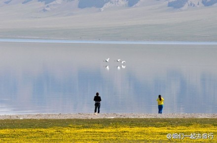 新疆旅游，去新疆伊犁，骑马，看花海。