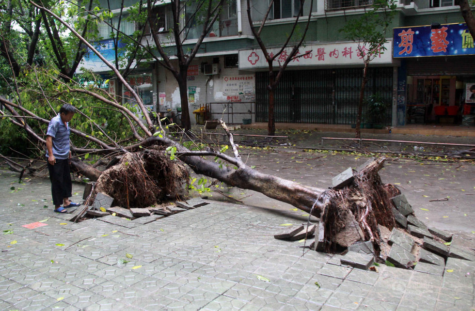 强力台风“天兔”昨天晚上（9月22日）在广东省登陆，汕头深圳巨浪滔天。现在我们就来直击“天兔”现场，可以看到，低洼地区被水淹没，成一片汪洋。