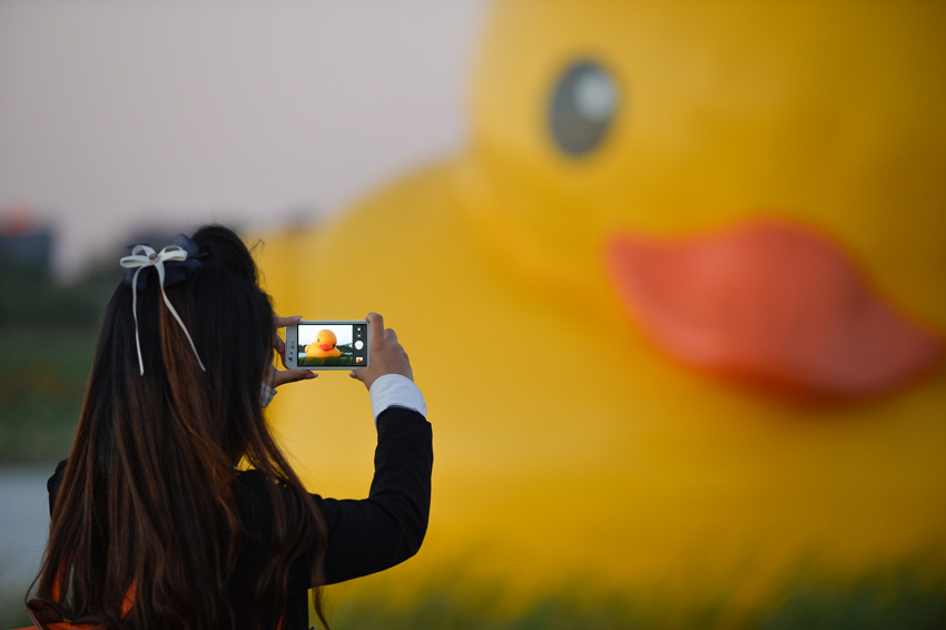 9月24日，一名园博园的工作人员用手机记录大黄鸭“泄气”过程。