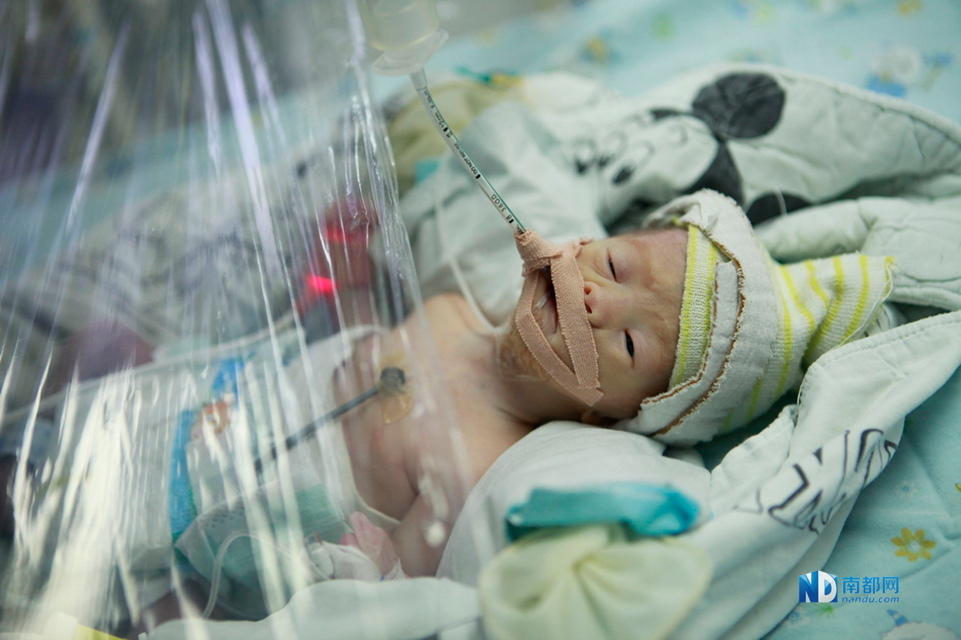 1月12日晚7时许，东莞厚街一对双胞胎早产儿，出生不到1小时便遭遗弃。两小时后，办理他案的民警恰巧路过并拨120急救。目前女婴仅1.13公斤重，呼吸衰竭，生命垂危，男婴也在监护中。