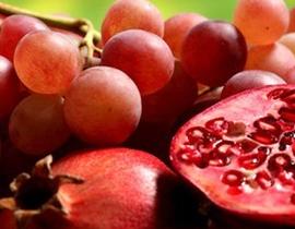 宴会时酒的试饮礼仪