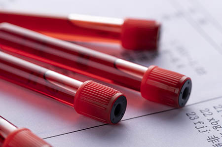 【巧克力爷爷和糖奶奶绘本】_巧克力爷爷和糖奶奶绘本故事_巧克力爷爷和糖奶奶读后感_亲亲宝贝网