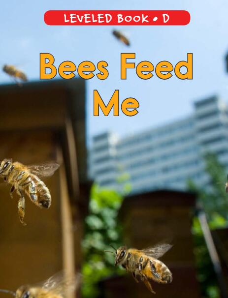 beesfeedmeraz分级阅读绘本pdf资源免费下载