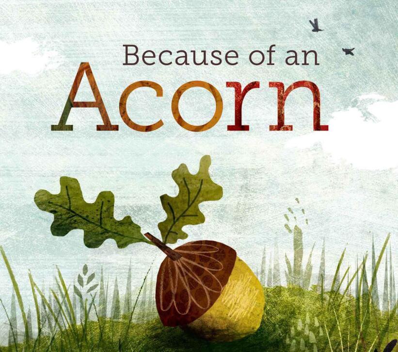 《because of an acorn》英文绘本pdf电子书免费下载