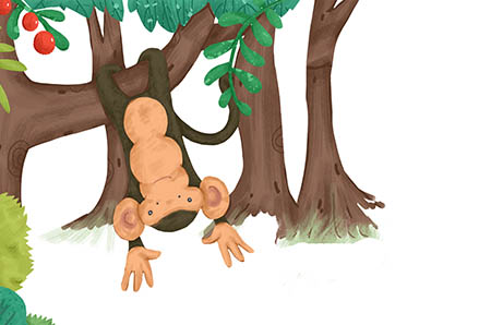 【猴年出生的宝宝简单的小名大全集】猴年出生