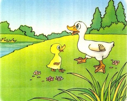 小鸭子在河里游来游去的拼音 小鸭子在水中游来游去
