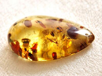 【艾条的功效与作用】艾条的功效与作用是什么_艾条的功效与作用及禁忌_亲亲宝贝网