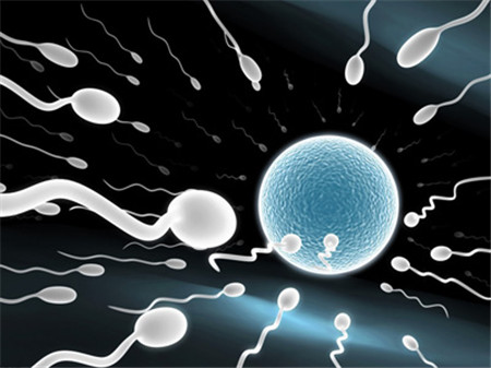 【吃精子】吃精子的好处_吃精子会怀孕吗