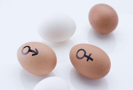 生男生女_生男生女预测表_生男生女清宫图2016