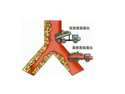 【左脸颊长痘的原因】左脸颊长痘是什么原因_