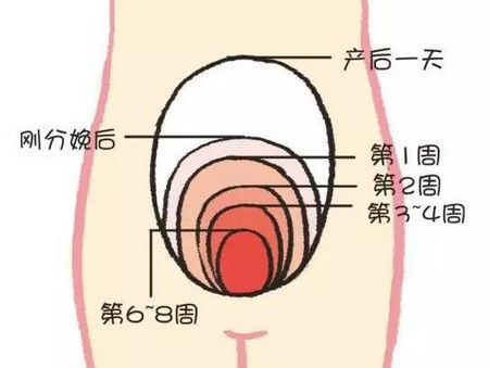 产后子宫恢复时间表新妈妈不可错过