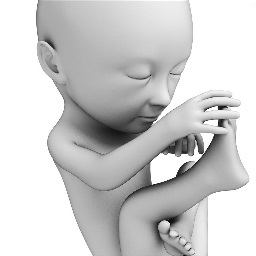 【胎儿 胎儿图片 胎儿素材 胎儿下载 胎儿