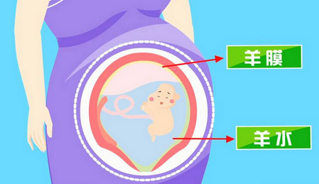【孕期检查】孕期检查时间表_孕期检查项目及