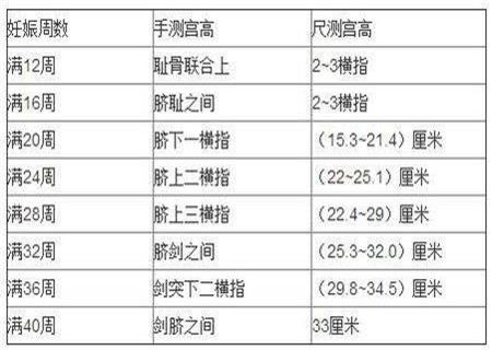 宝妈在孕期的时候都需要检查宫底的大小,那么,孕周与宫高高度对照表是