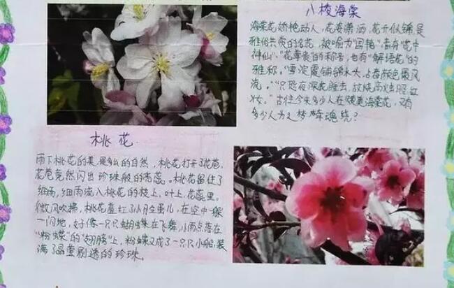 最美四月天手抄报图片